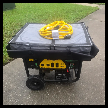 Tampa Portable Generator Installation